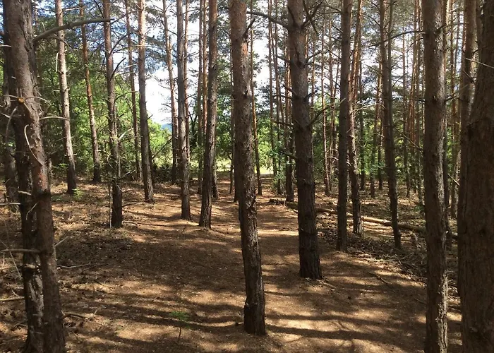 Da Sciuri Дом отдыха Баришано